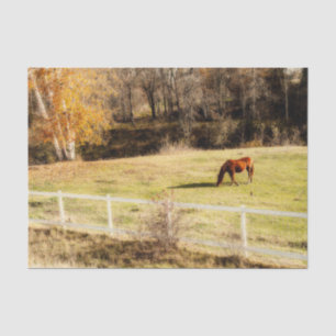 Horse Country Rustic Autumn Decoupage Tissue Paper