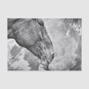 Horse Country Rustic Black And White Decoupage Tissue Paper