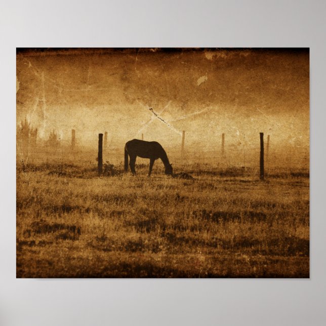 Horse Country Rustic Vintage Texture Decoupage Poster (Front)