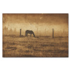 Horse Country Rustic Vintage Texture Decoupage