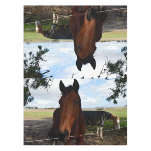 Horse Country, Tablecloth