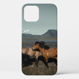 HORSE COUPLE iPhone 12 CASE