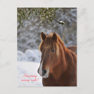 Horse Czech New Year postcard