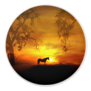 Horse Decor Knobs