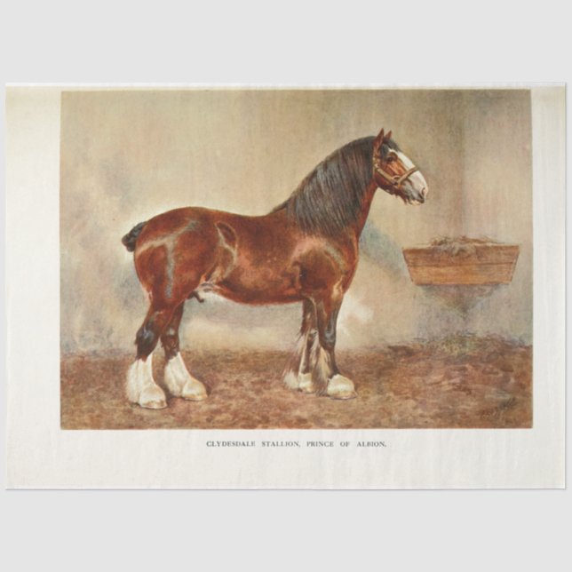 Horse Decoupage Vintage Clydesdale Stallion Tissue Paper (Front)