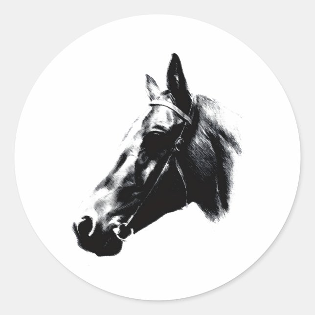 Horse Drawing Artwork Card Classic Round Sticker (Front)