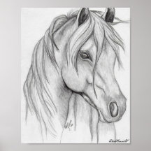 horse drawing Poster