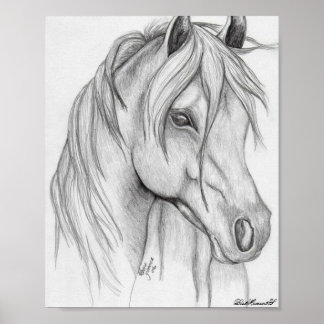 horse drawing Poster