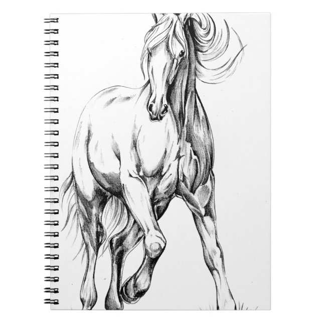 Horse drawing sketch art handmade notebook (Front)