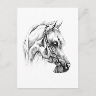 Horse drawing sketch art handmade postcard