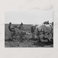 Horse-Drawn Corn Planter, 1940
