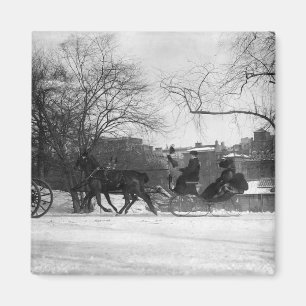 Horse Drawn Sleigh NYC Magnet