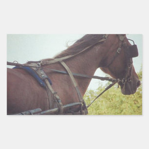 Horse Drawn Transportation Sticker