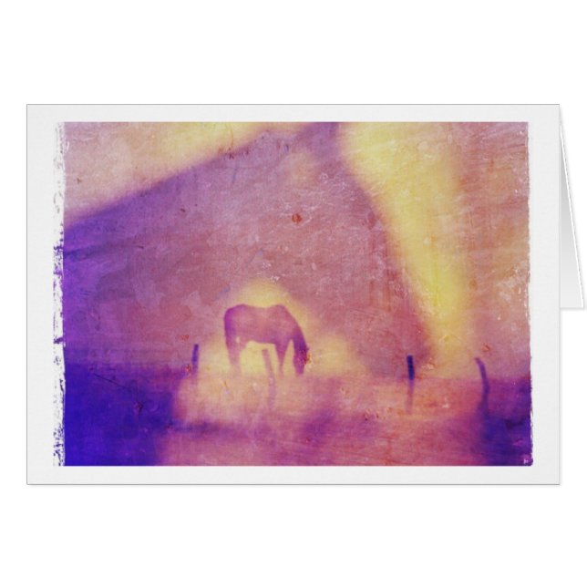 Horse Dreams All Occasions (Front Horizontal)