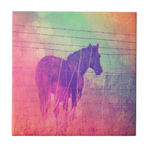 Horse Dreams Tile