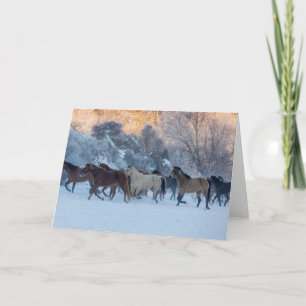 Horse Drive in Winter on Hideout Ranch Card