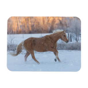 Horse Drive in Winter on Hideout Ranch Magnet