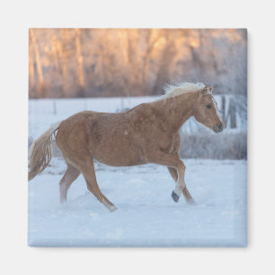 Horse Drive in Winter on Hideout Ranch Magnet