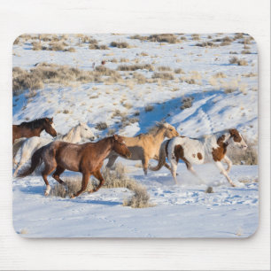 Horse Drive in Winter on Hideout Ranch Mouse Pad