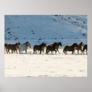 Horse Drive in Winter on Hideout Ranch Poster