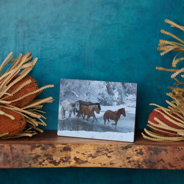 Horse Drive in Winter Plaque (Side)