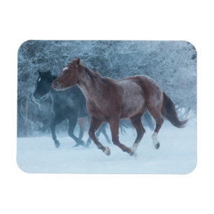 Horse Drive Magnet