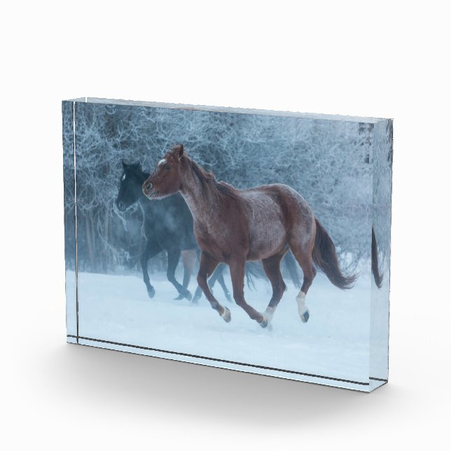 Horse Drive Photo Block (Right)