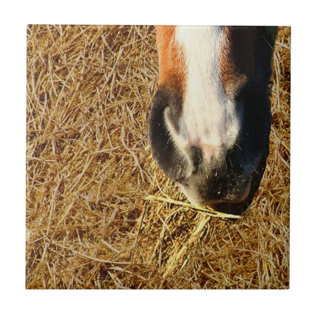 Horse Eating Hay Tile (Front)