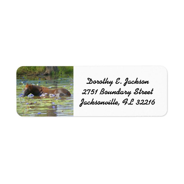 Horse eating in the lake Australia, Return Address (Front)