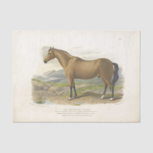 Horse Ephemera Decoupage Vintage Brown Tissue Paper