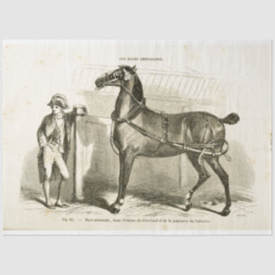 Horse Ephemera Decoupage Vintage French Soldier Tissue Paper