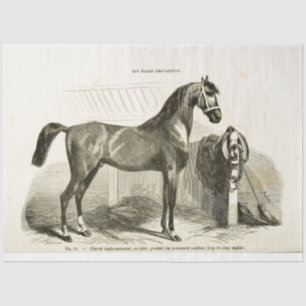 Horse Ephemera Decoupage Vintage French Stable Tissue Paper