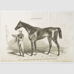 Horse Ephemera Decoupage Vintage French Trainer Tissue Paper