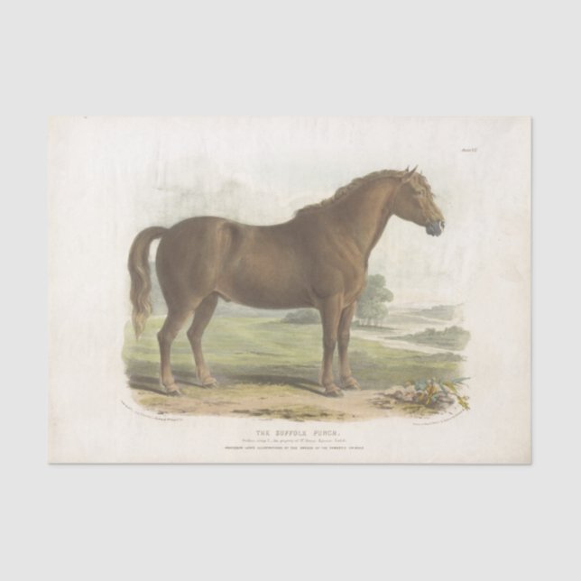 Horse Ephemera Decoupage Vintage Suffolk Tissue Paper (Front)