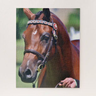 Horse Equestrian Arab Arabian Breed Jigsaw Puzzle