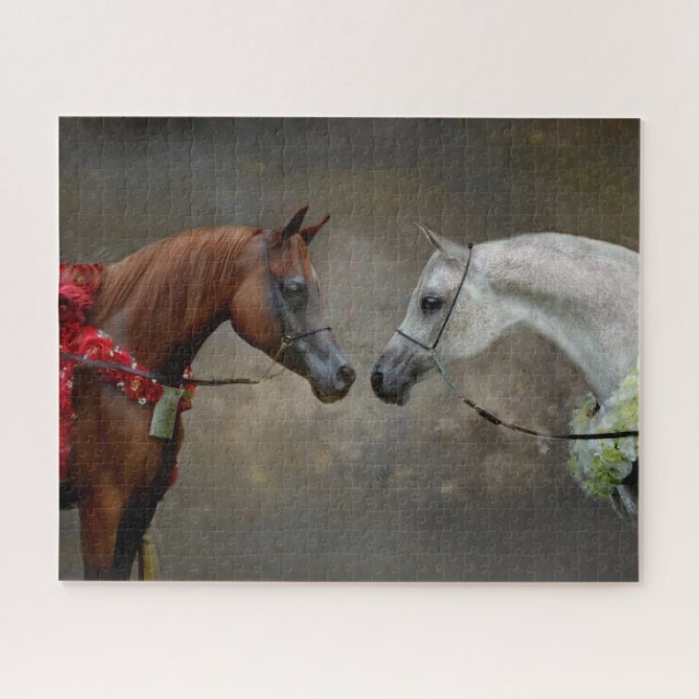 Horse Equestrian Arabian Arab Champions Jigsaw Puzzle (Horizontal)