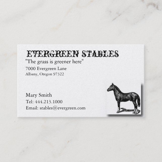 Horse Equine Business Card (Front)
