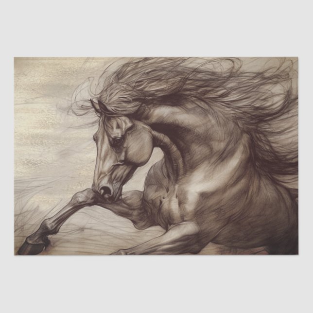 Horse Equine Sketch Tissue Paper (Front)