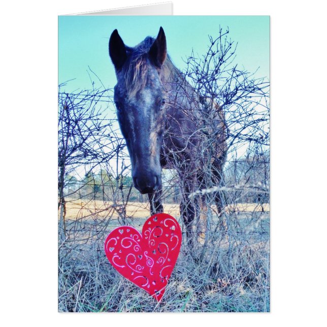 Horse et heart (Devant)