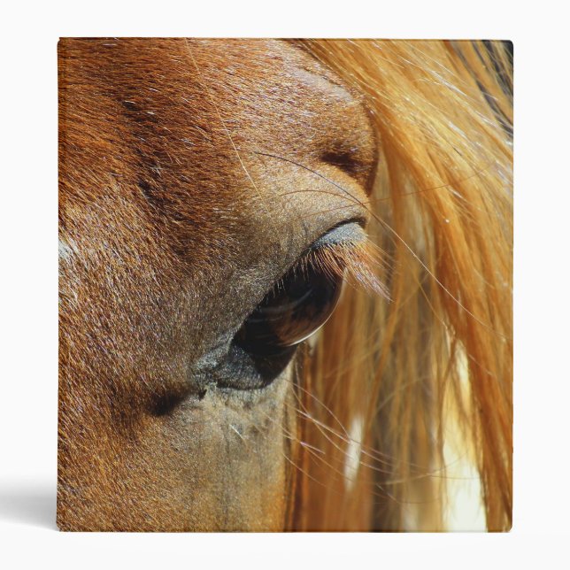 Horse Eye Closeup Binder (Front)