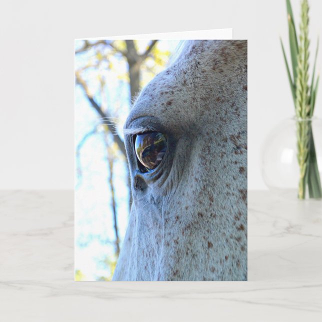Horse Eye Greeting Card (Front)