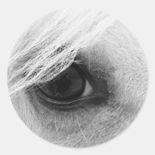 Horse Eye in Black and White Classic Round Sticker