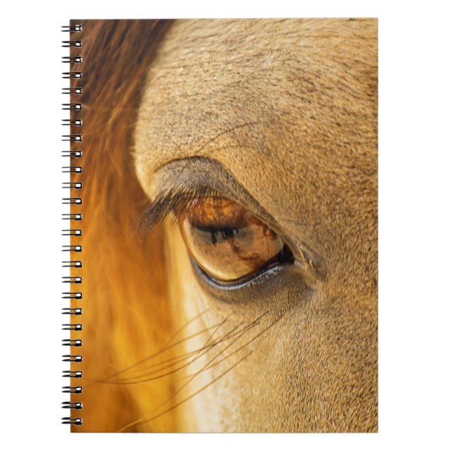 Horse eye notebook (Front)