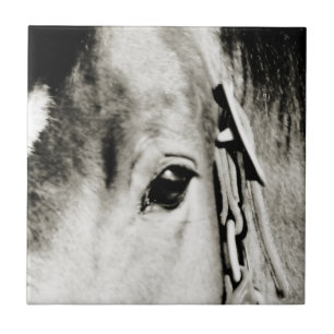 Horse Eye Photograph Tile