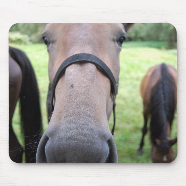 Horse face mouse pad (Front)