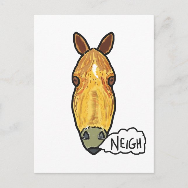 Horse Face Neigh Postcard (Front)