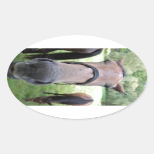 Horse face oval sticker