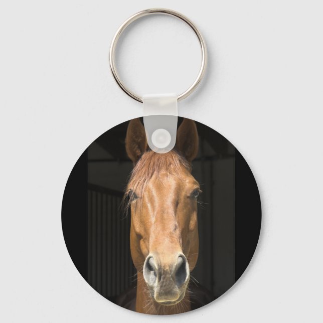Horse Face Photograph Keychain (Front)