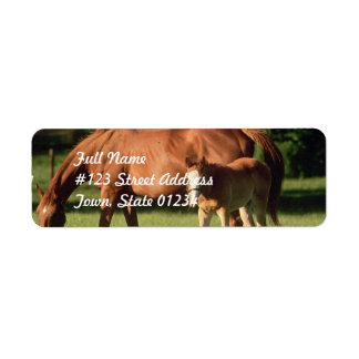Horse Famille Adresse de retour Étiquettes