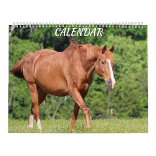 Horse Farm Bright Lively Colourful Calendar